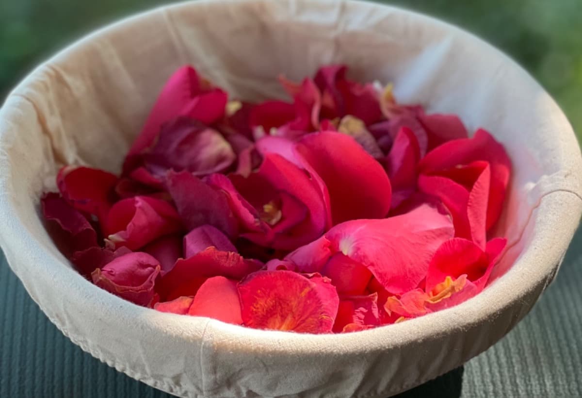 HelpFundAscendAyurvedaOfAR