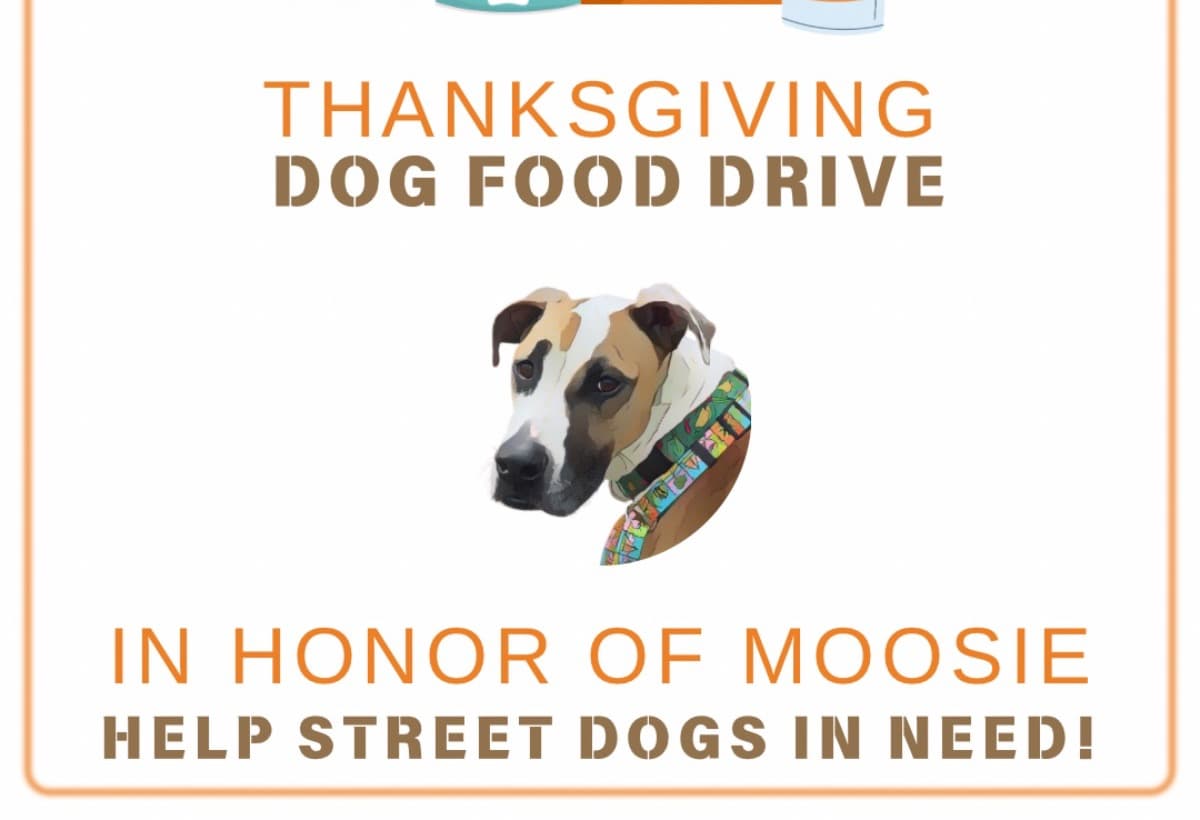 MoosieStrongDogFoodDrive