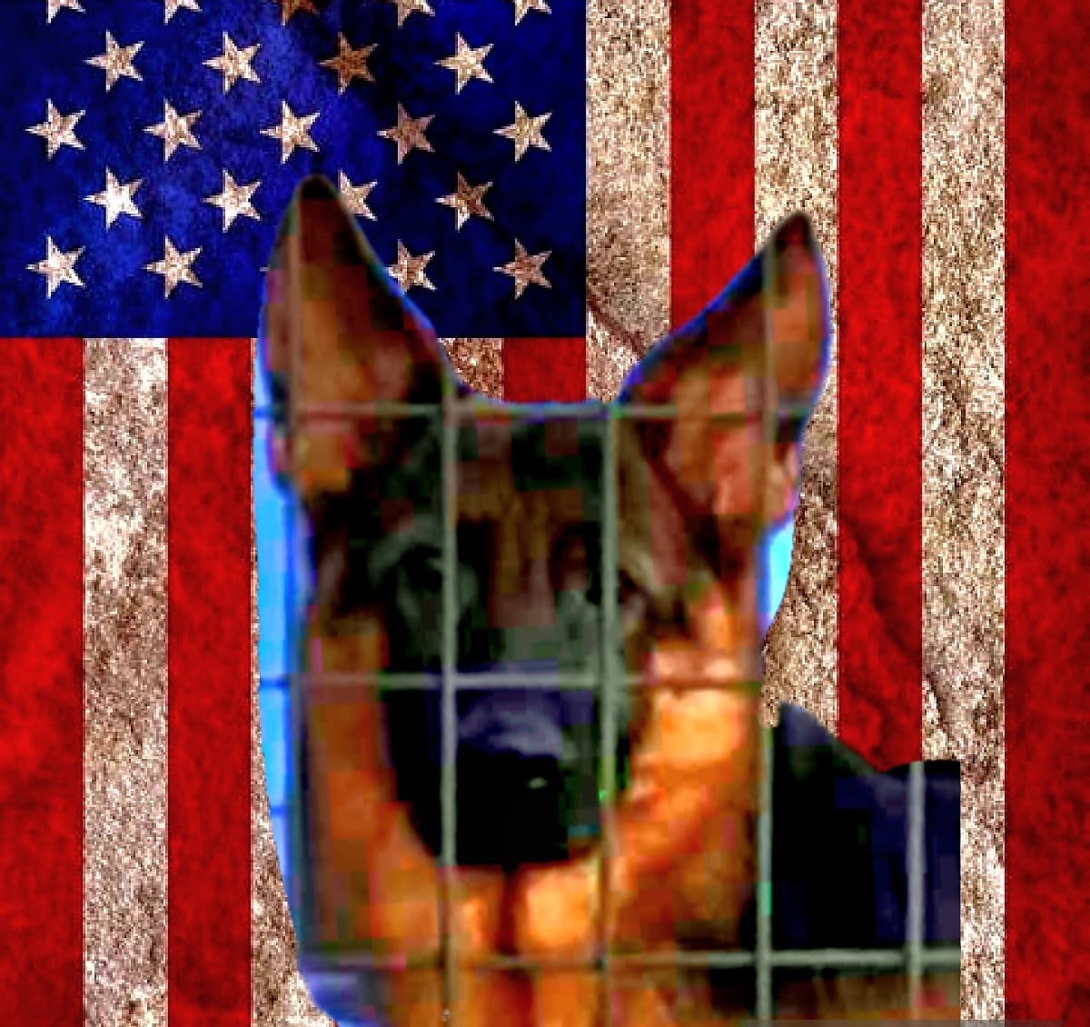 BringEnochHomeToHisNewPapa