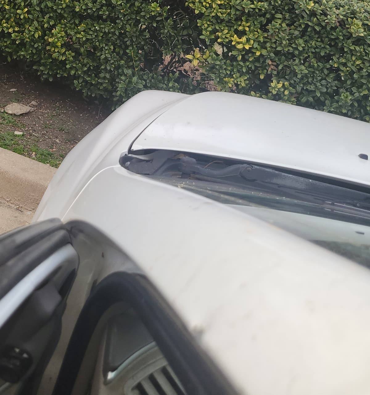 CarRepairsAndStuffOrNewCar