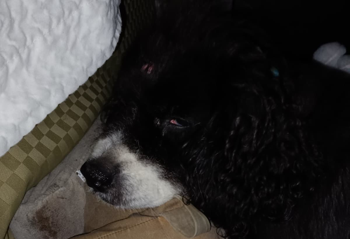 WouldLikeToNotBeHomelessAnym