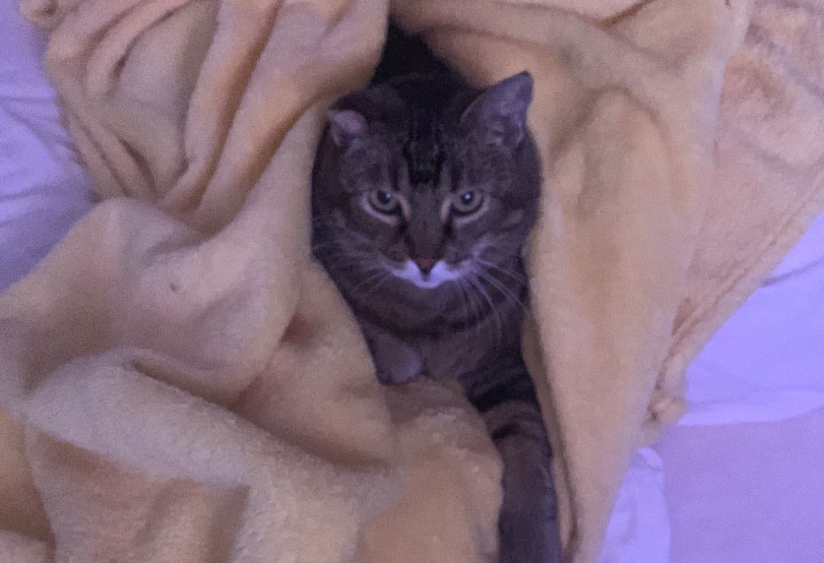 OliverWantsToGoSeeGrandma