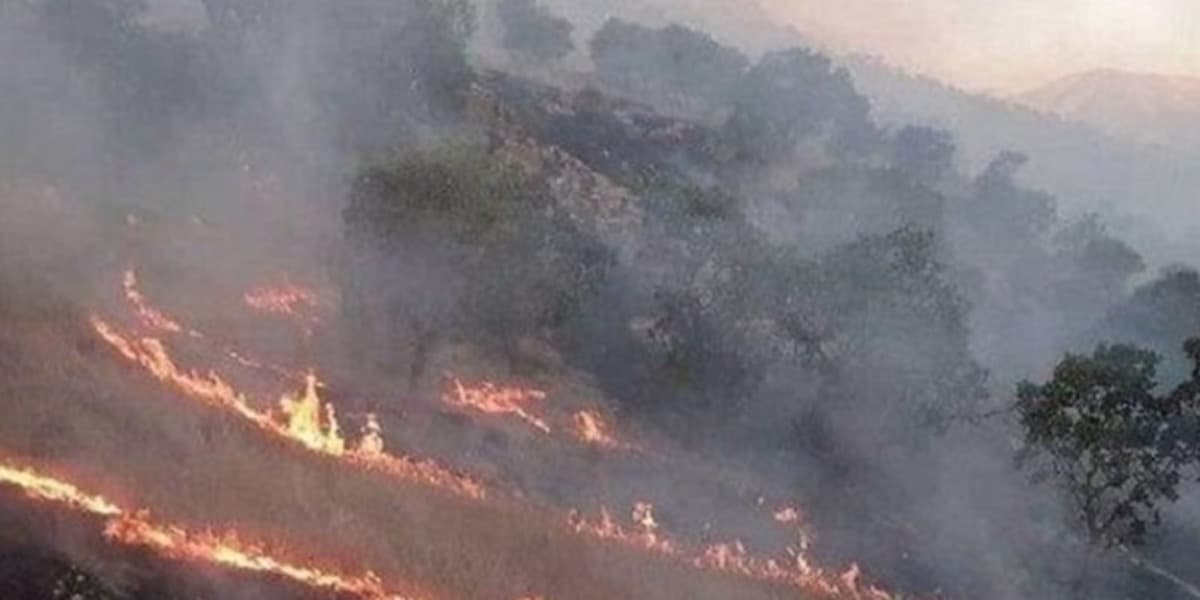 ZagrosFire