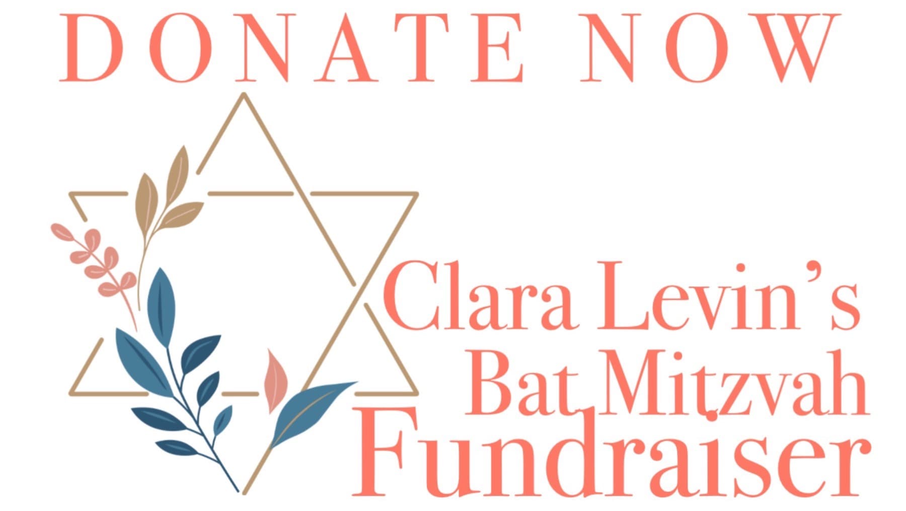 CLARABATMITZVAHFUNDRAISER