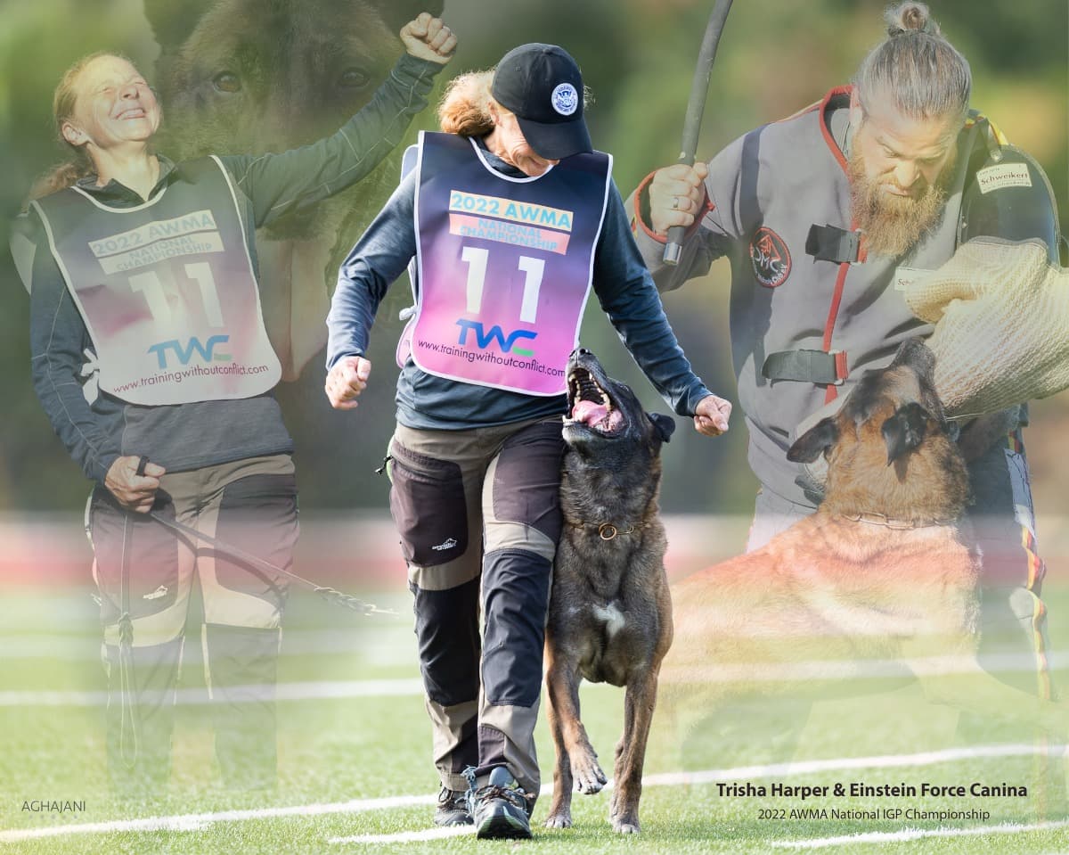 Help Send Trisha To 2023 FMBB