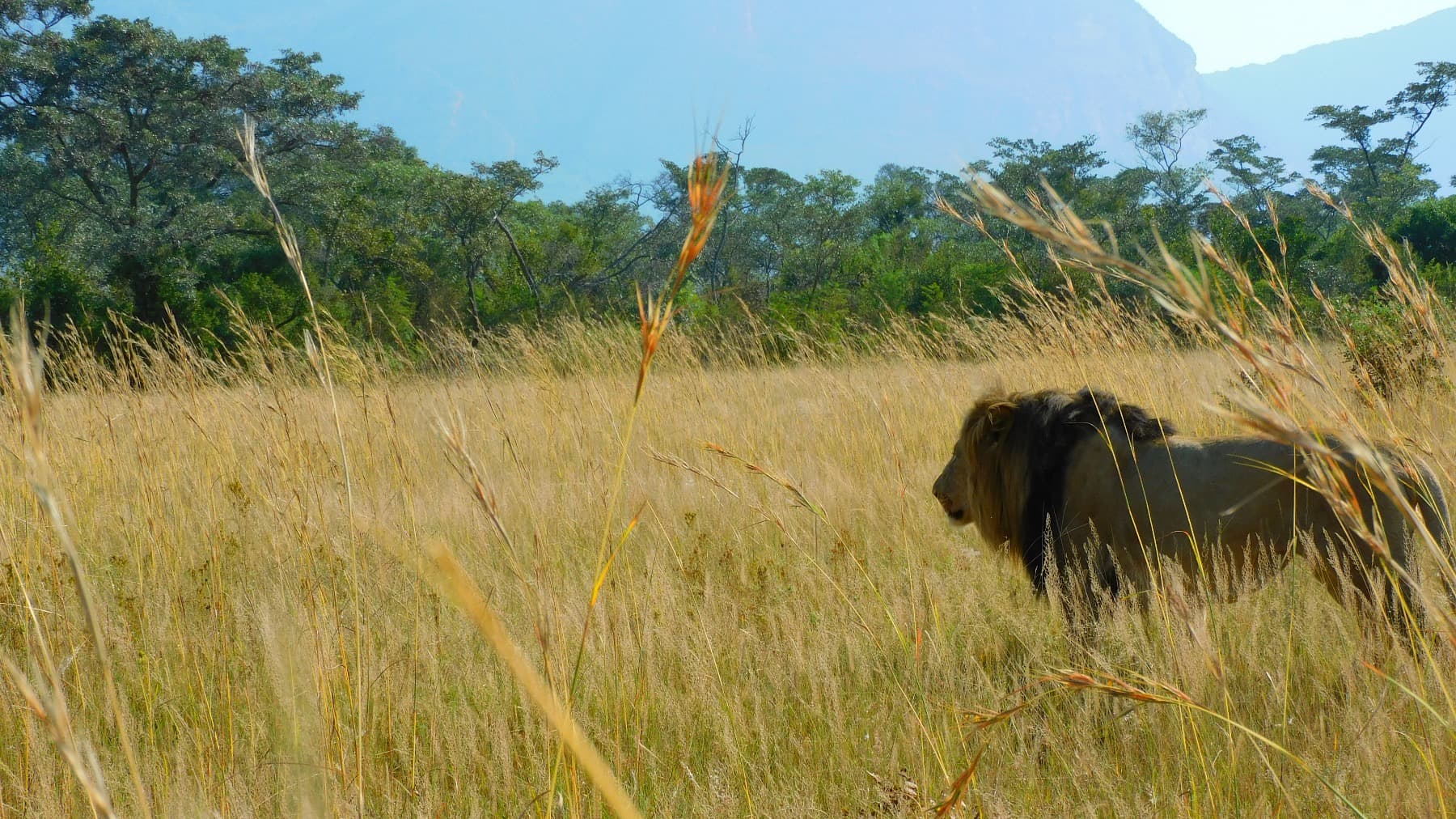 SouthAfricaStudyAbroad