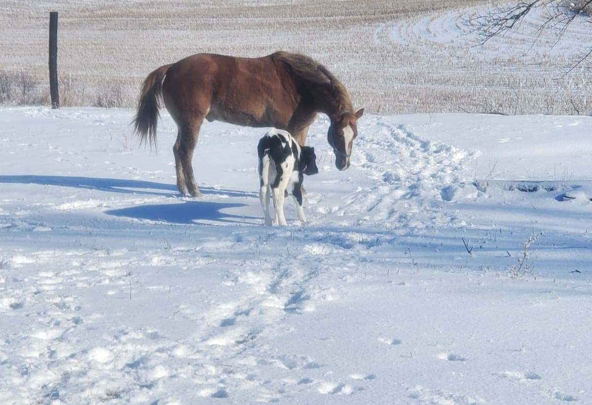 HeathenHollerSanctuary