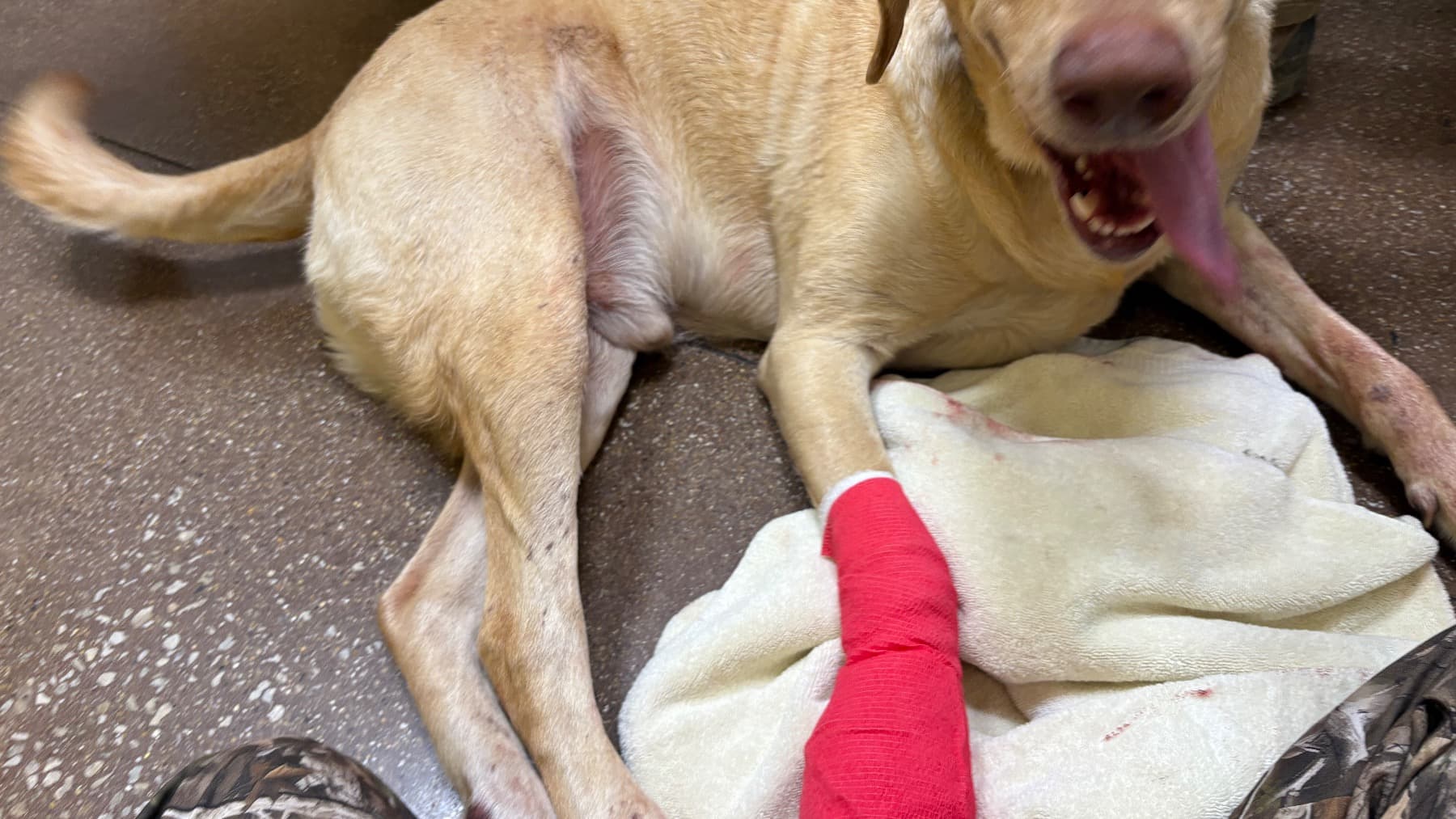 BenjisRoadToRecovery