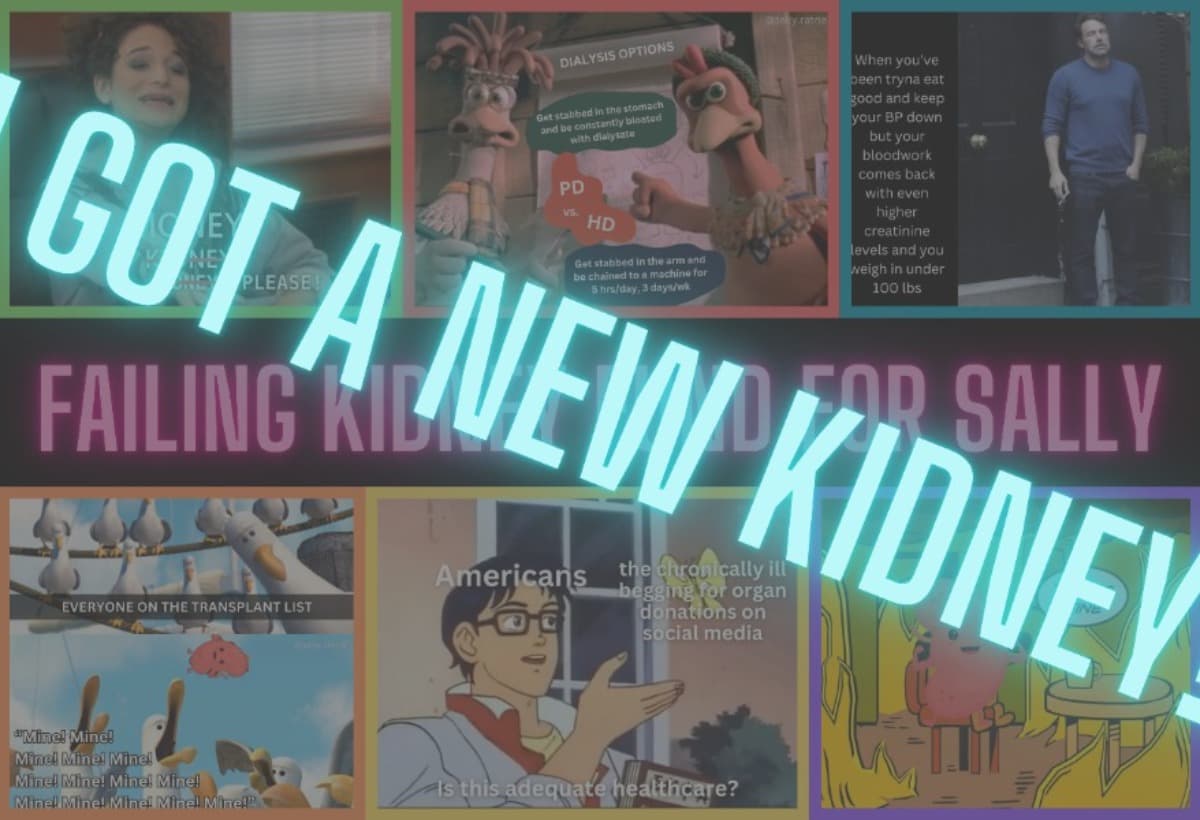 FailingKidneyFundForSally