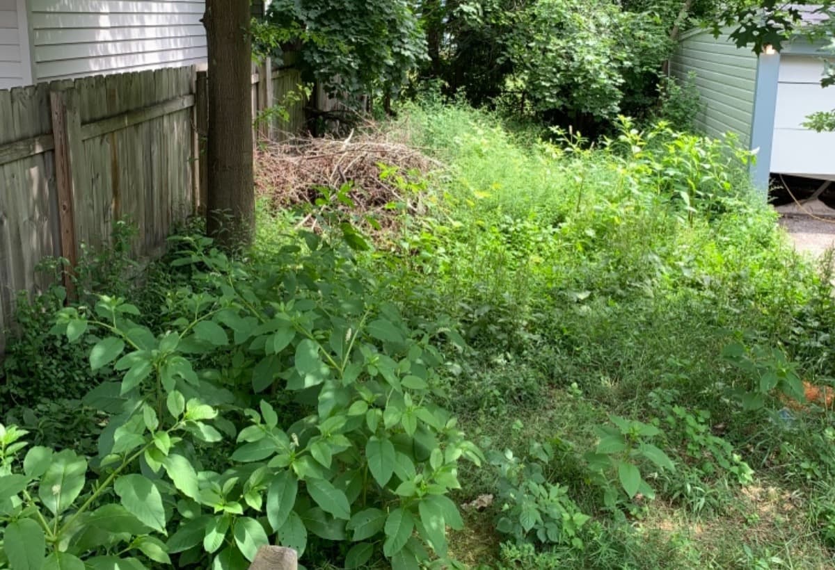 MyFirstHomeNeedsLawnLove