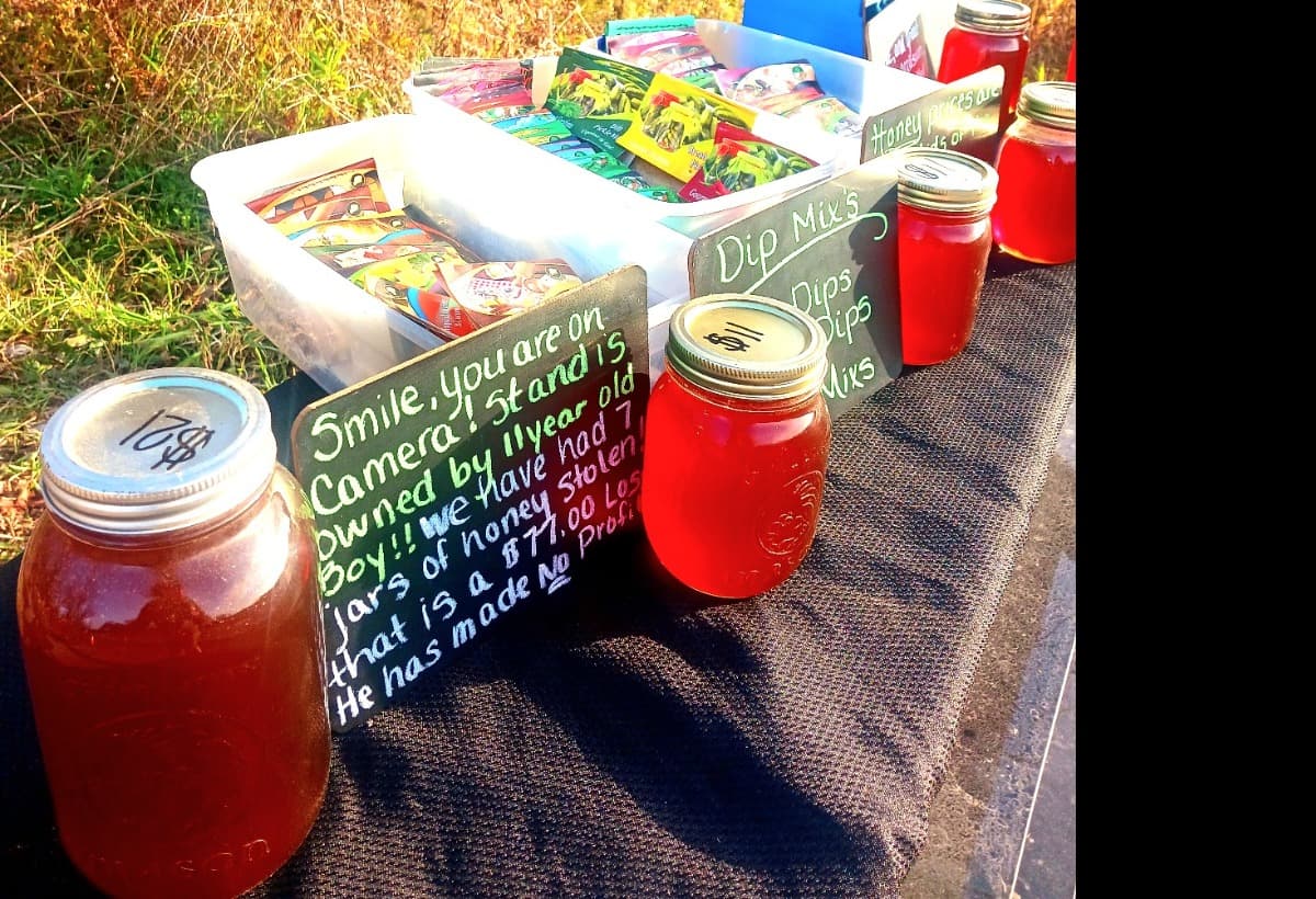 DavidsBeekeepingJourney