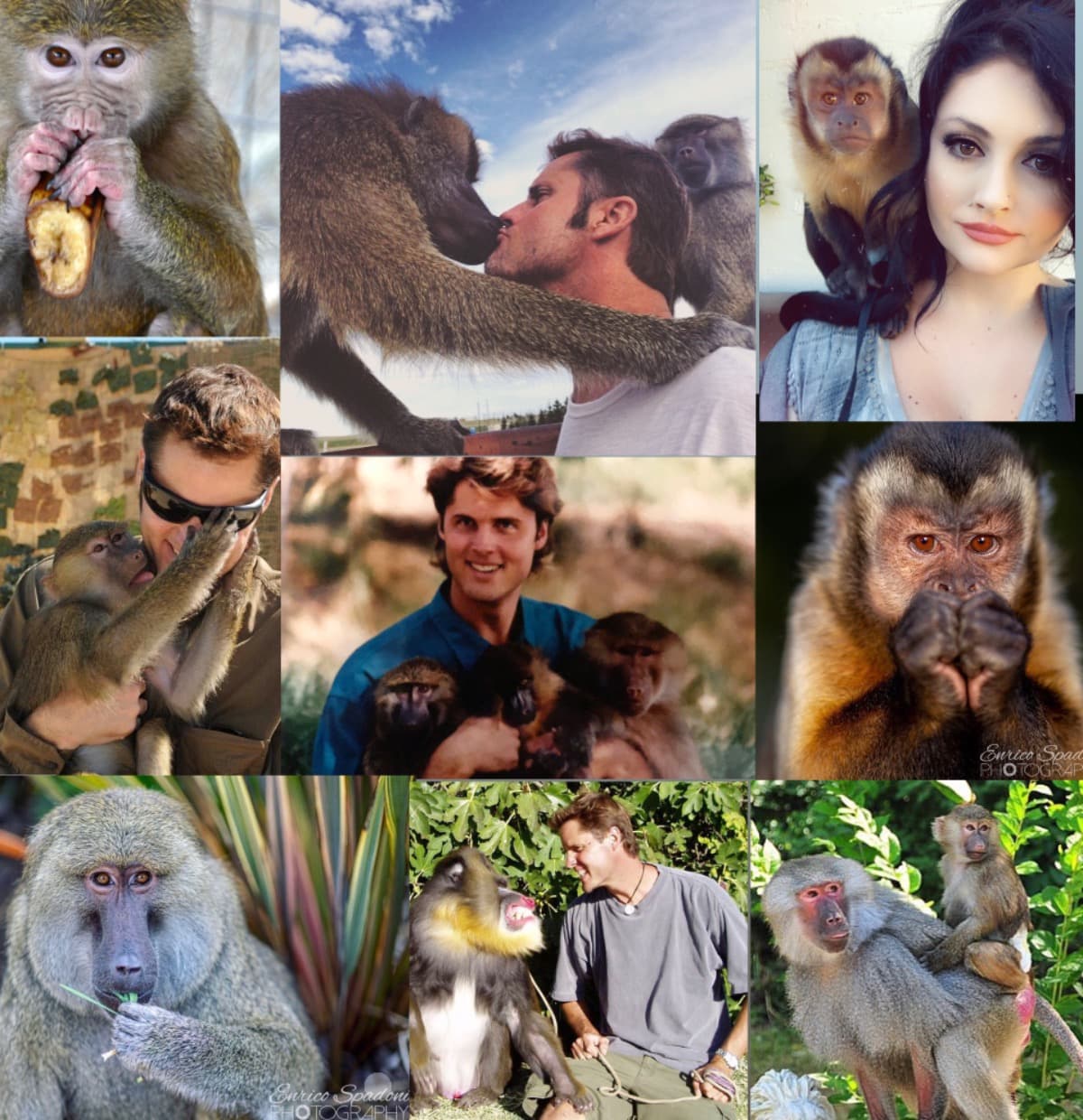 HelpUsProtectOurAnimals