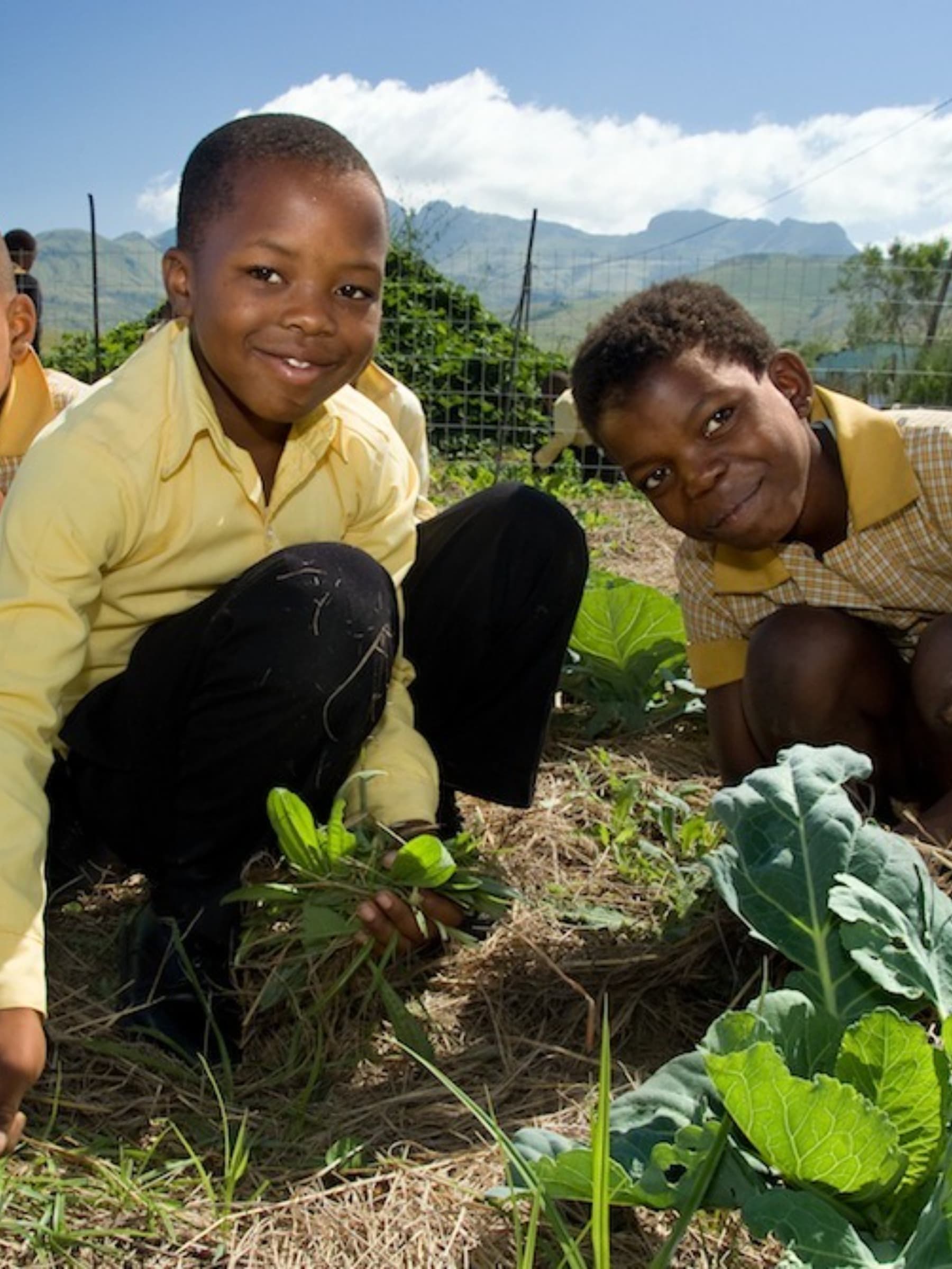 TheSowTooGrowProject