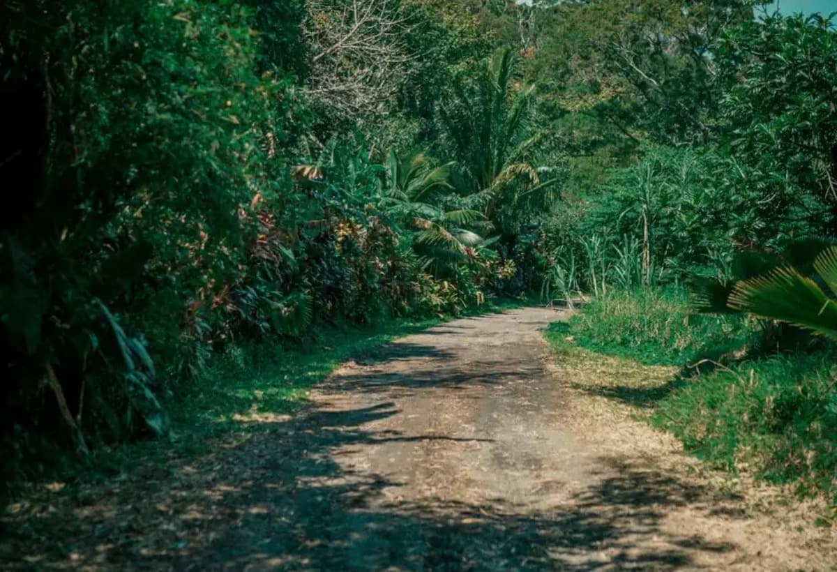 2025RiverHillRoadMaintenance