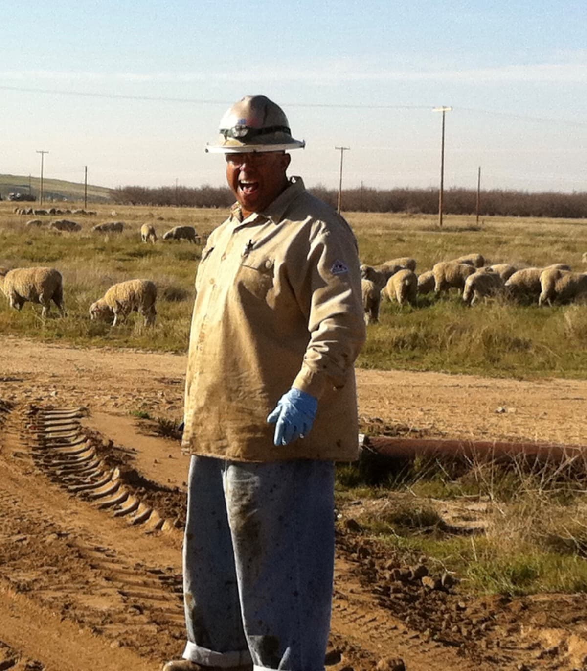 HelpingOutBrotherYogi