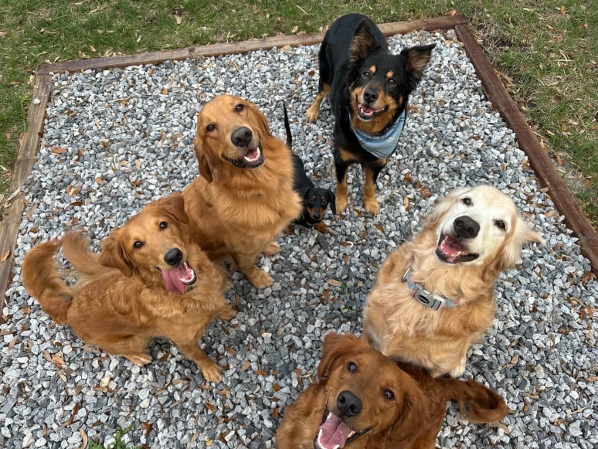 KaleysHouseOfFurryFriends