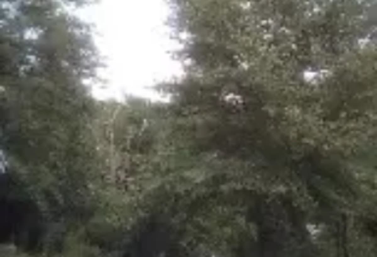 HireLandscapingCompany