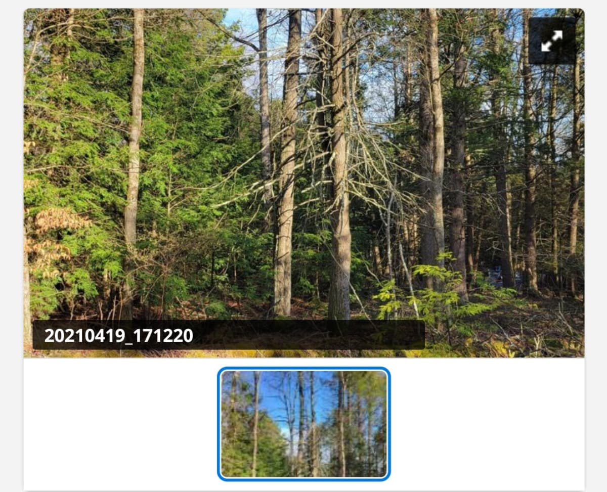 HomesteadWithMyFamily