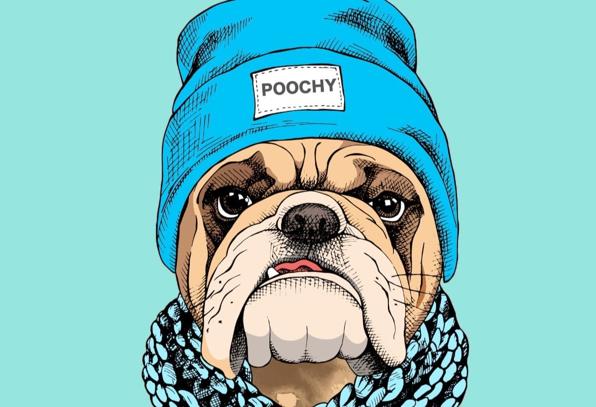 LittlePoochyNeedsAHelpingPaw