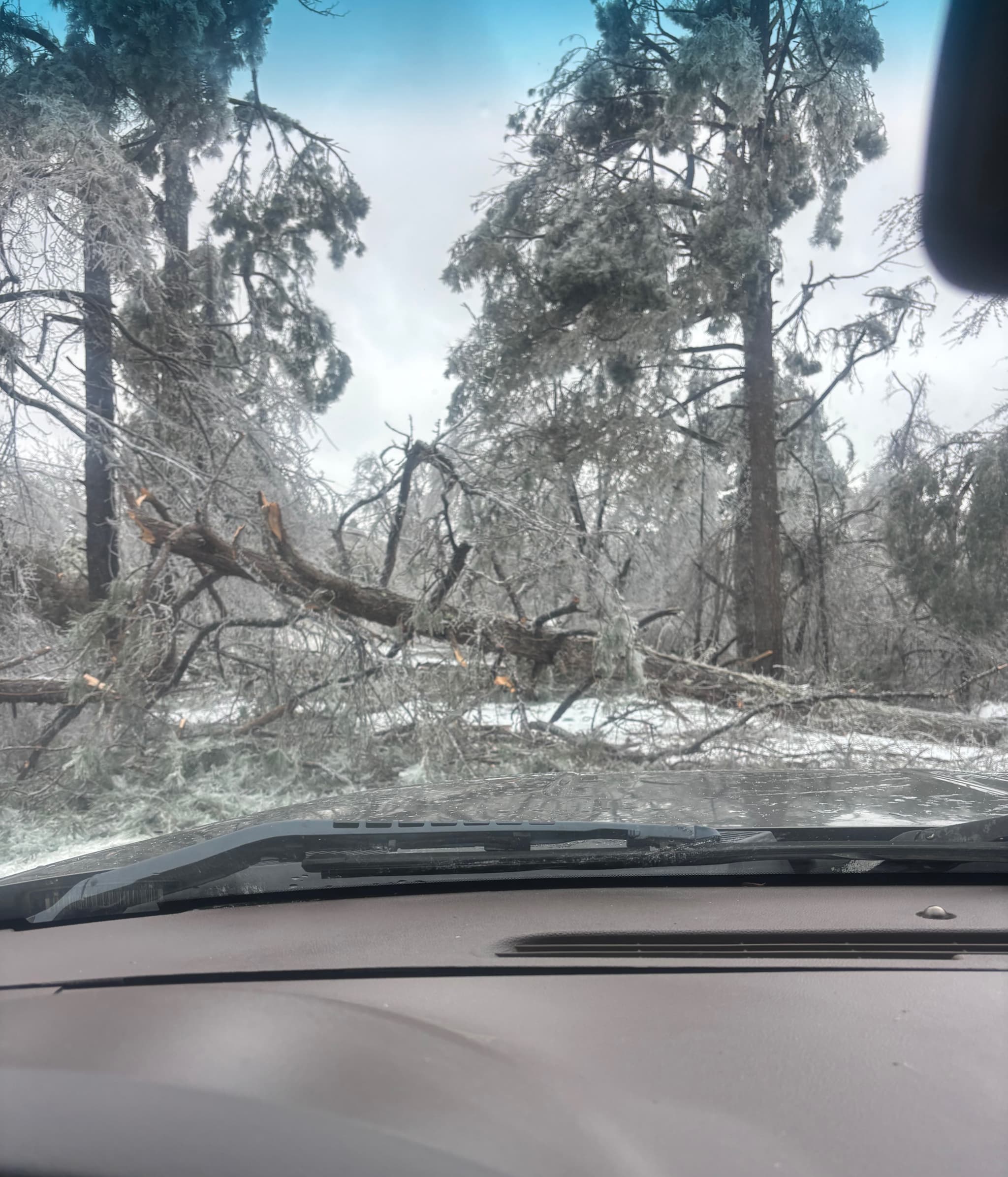 IceStormReleif