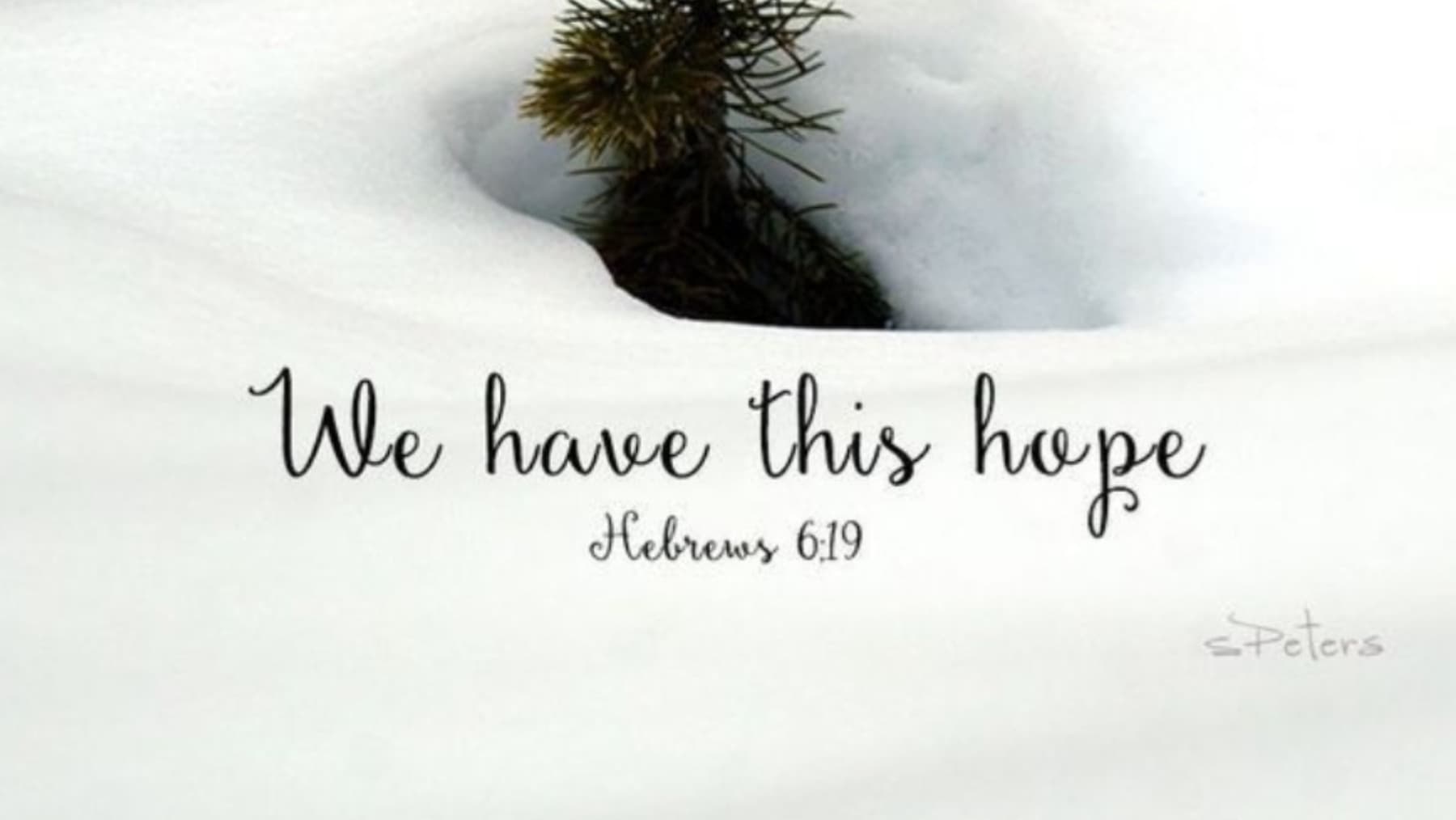 BlessAFamilyThisChristmas