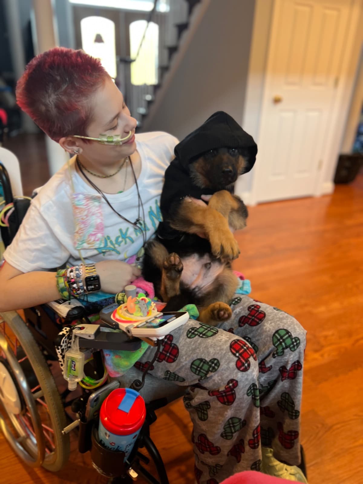 MeredithsServiceDogJourney