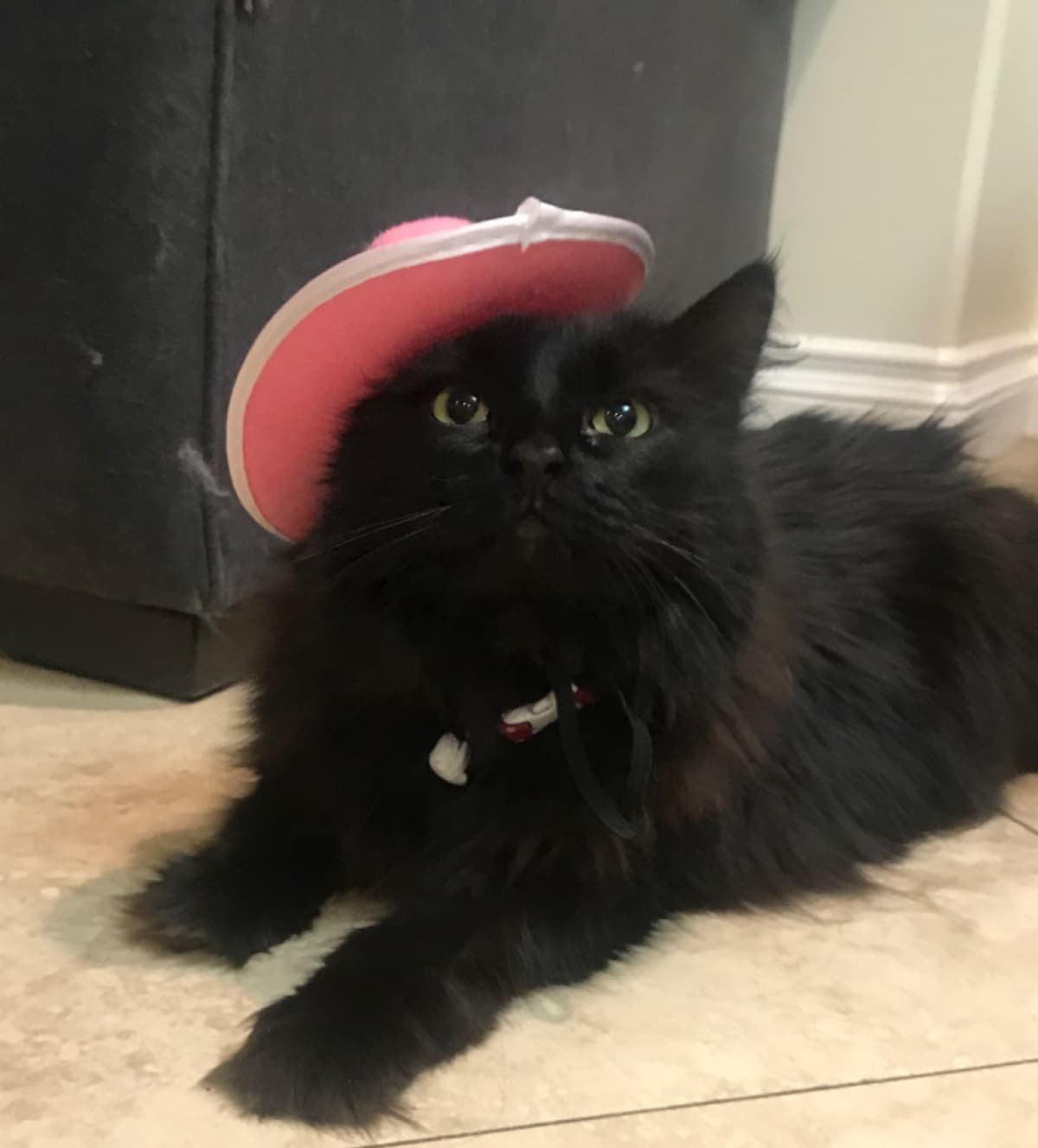 SurgeryForMyLittleMonster