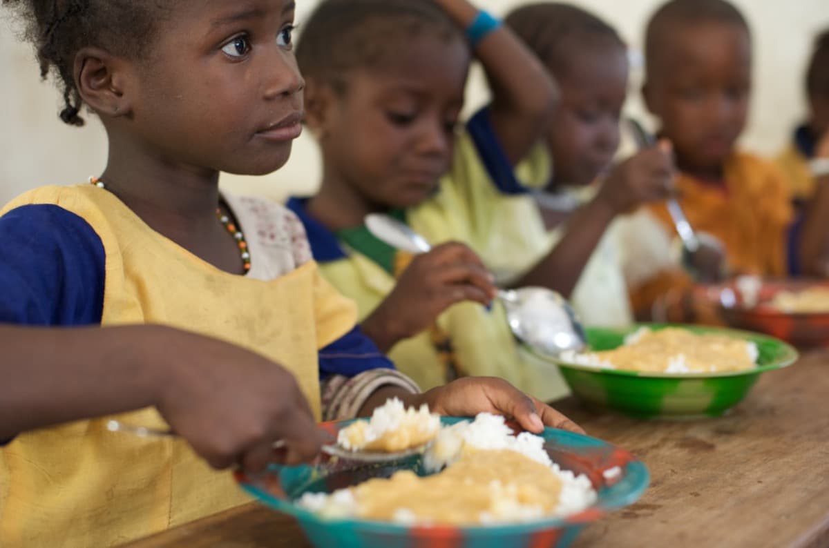 HelpTakeFoodFromAfrica