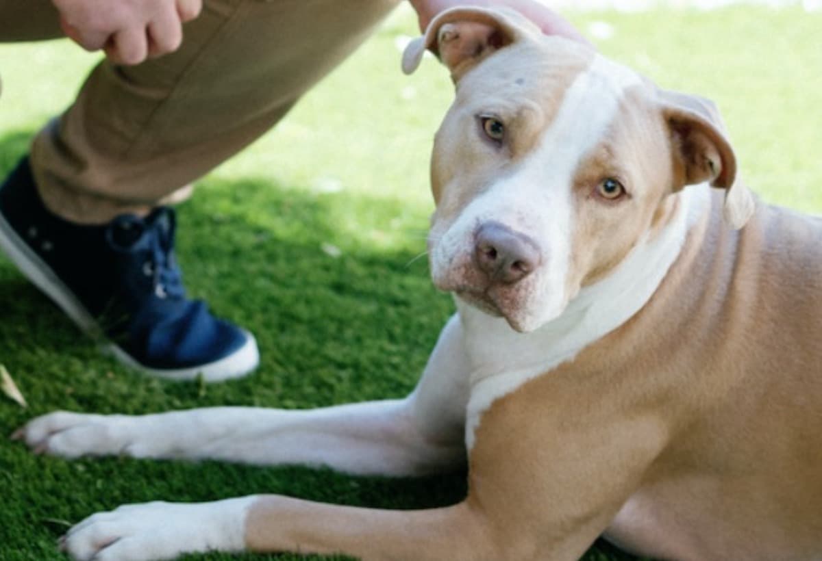 BrianAndLisasWeddingGift