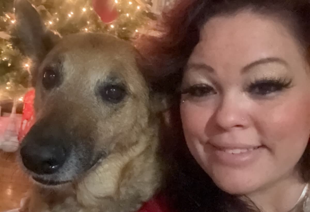 StartingAnAnimalRescue