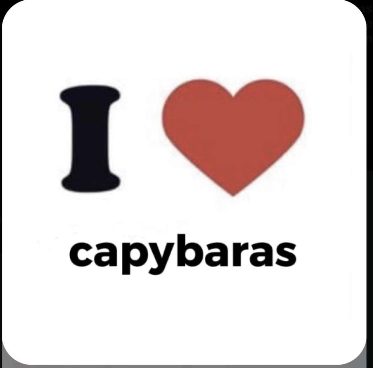 Capybara