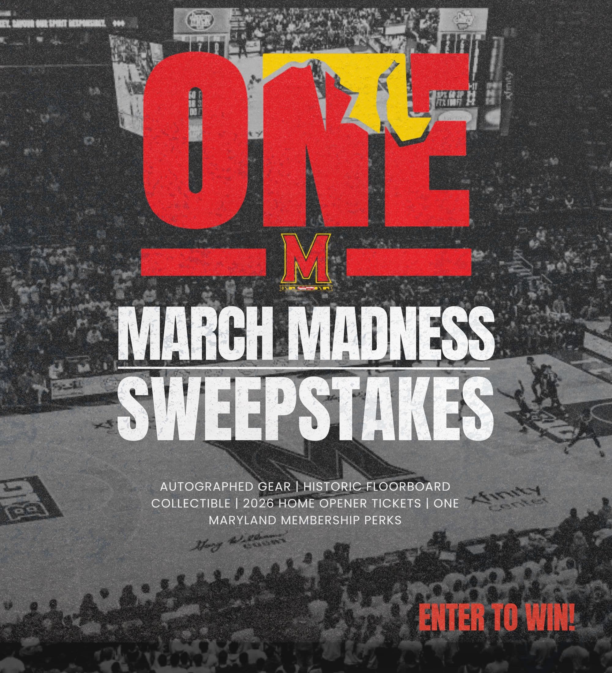 One Maryland March Madness Sweeps