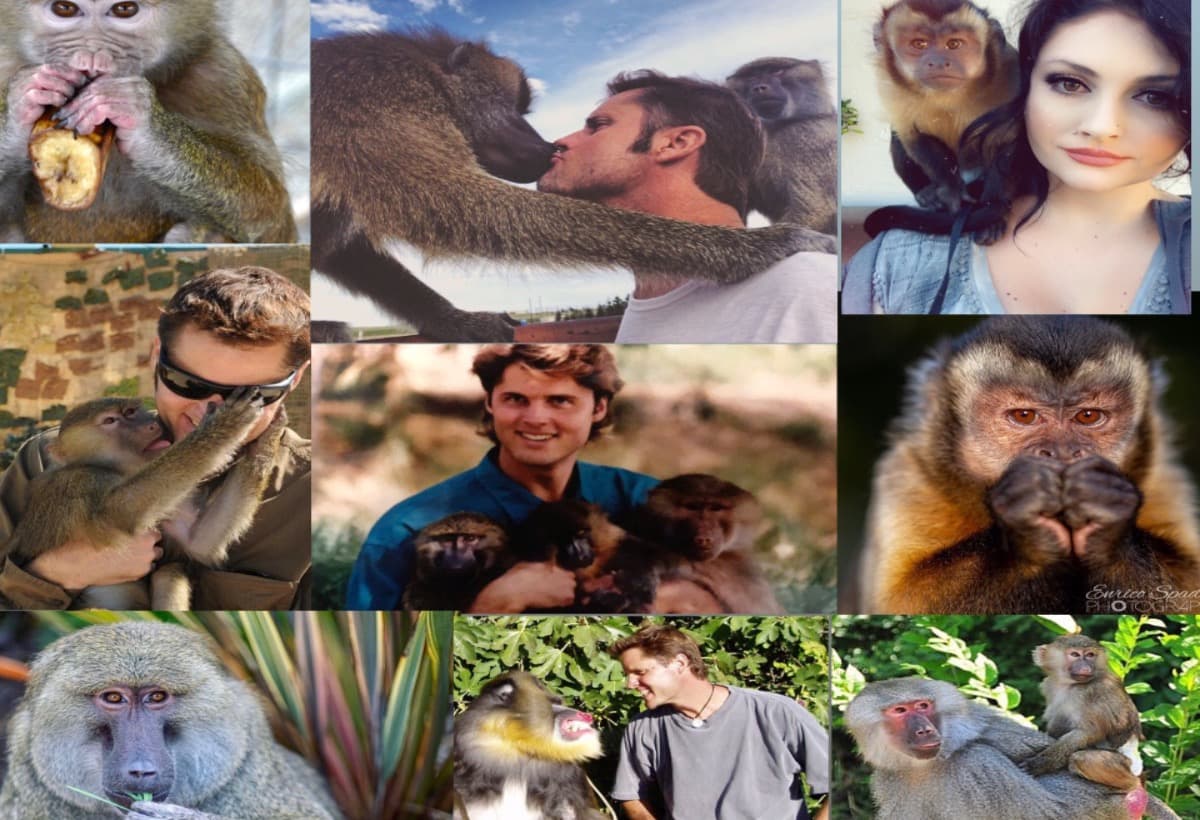 HelpUsProtectOurAnimals