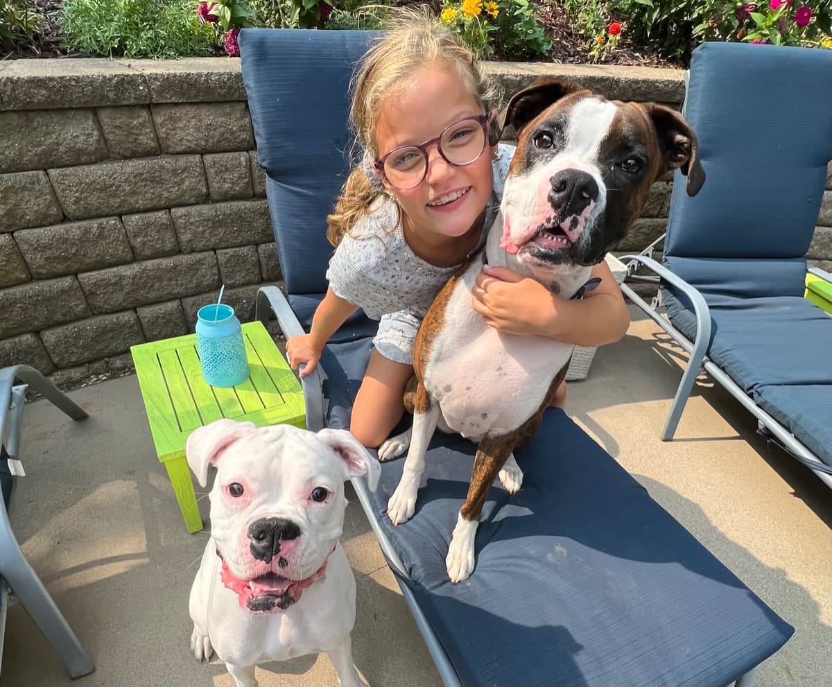 BdayBoxerRescueFundraiser