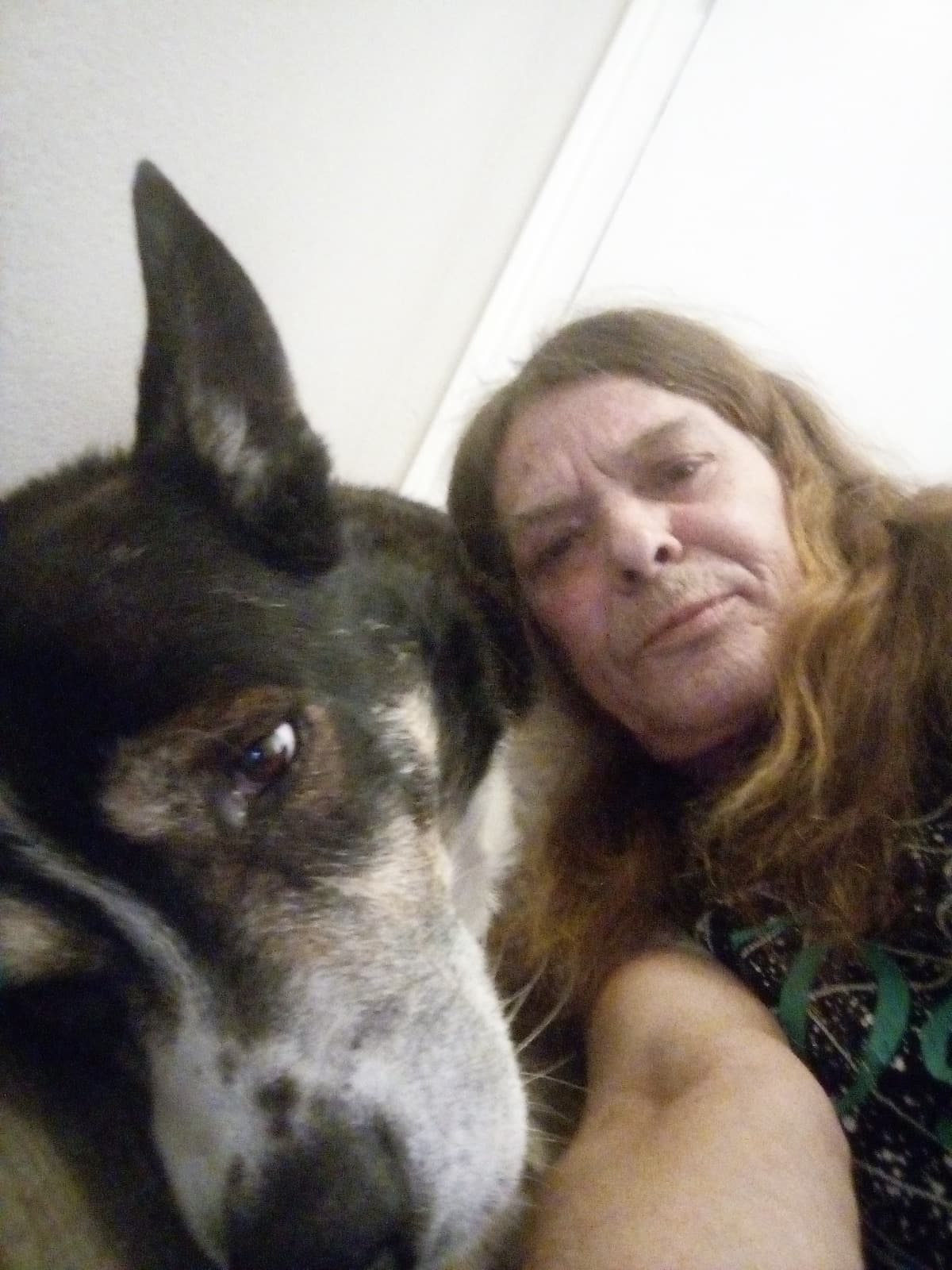 CanYouPleaseSaveMeAndMyWolf