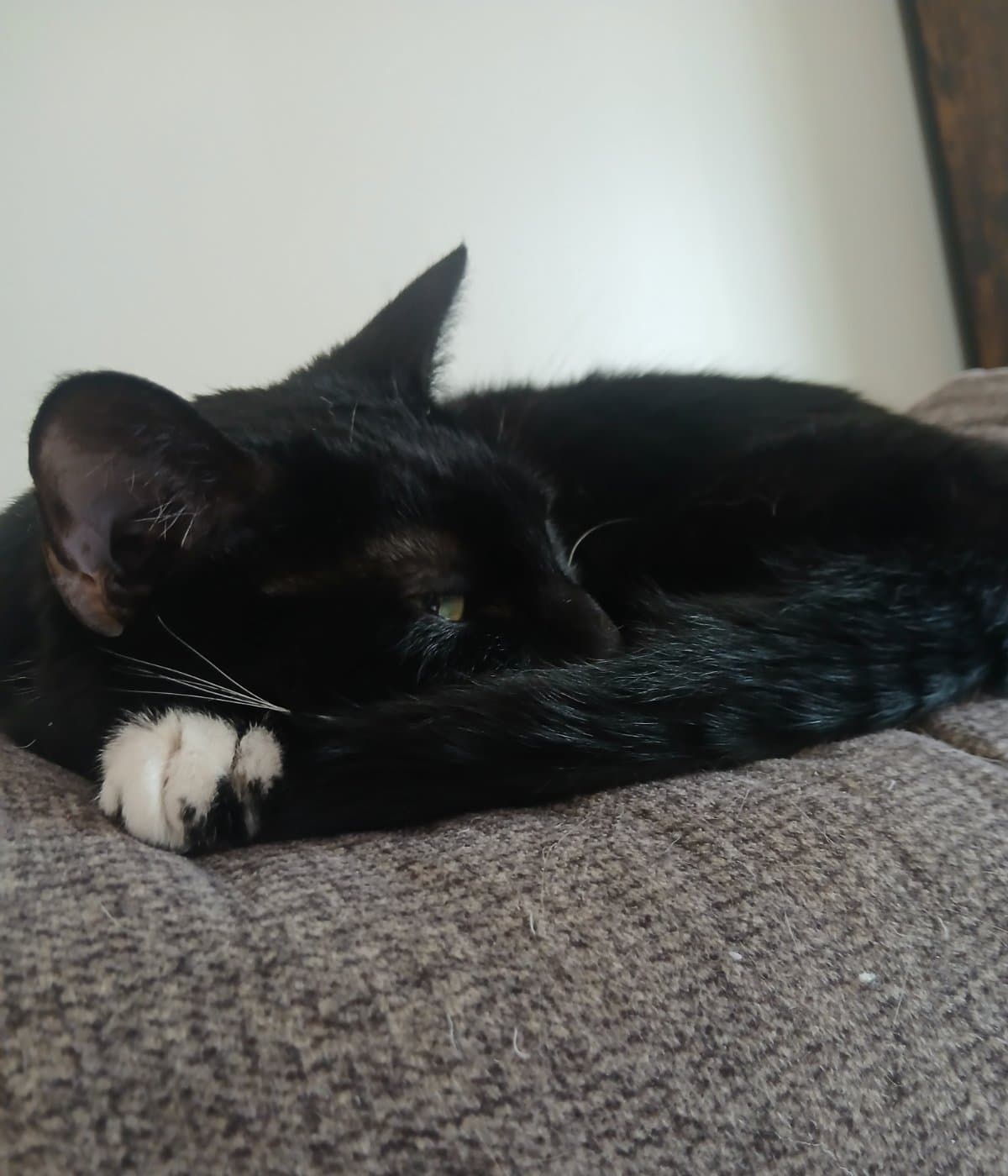 Help Kali Pay Rent Next Month's Rent