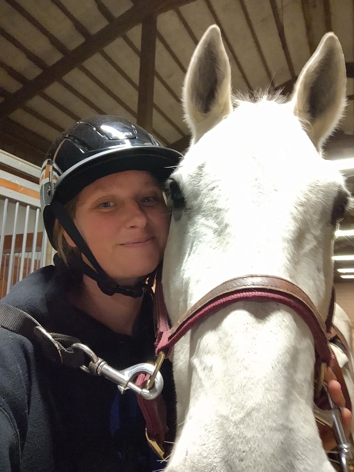 HorseTherapy