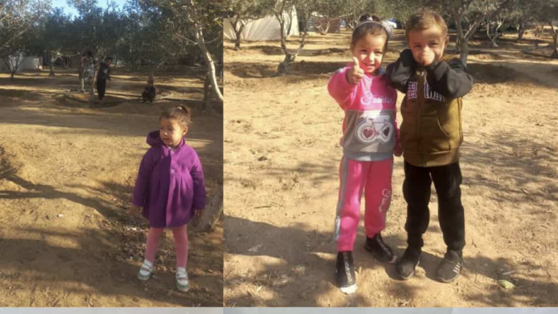 AidTheAlHalabiFamilyInGaza