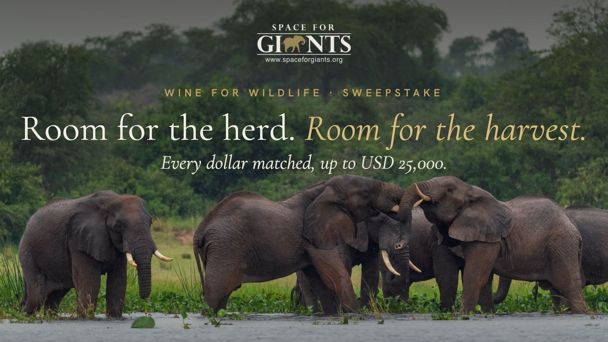 Wine For Wildlife Sweepstakes 2026