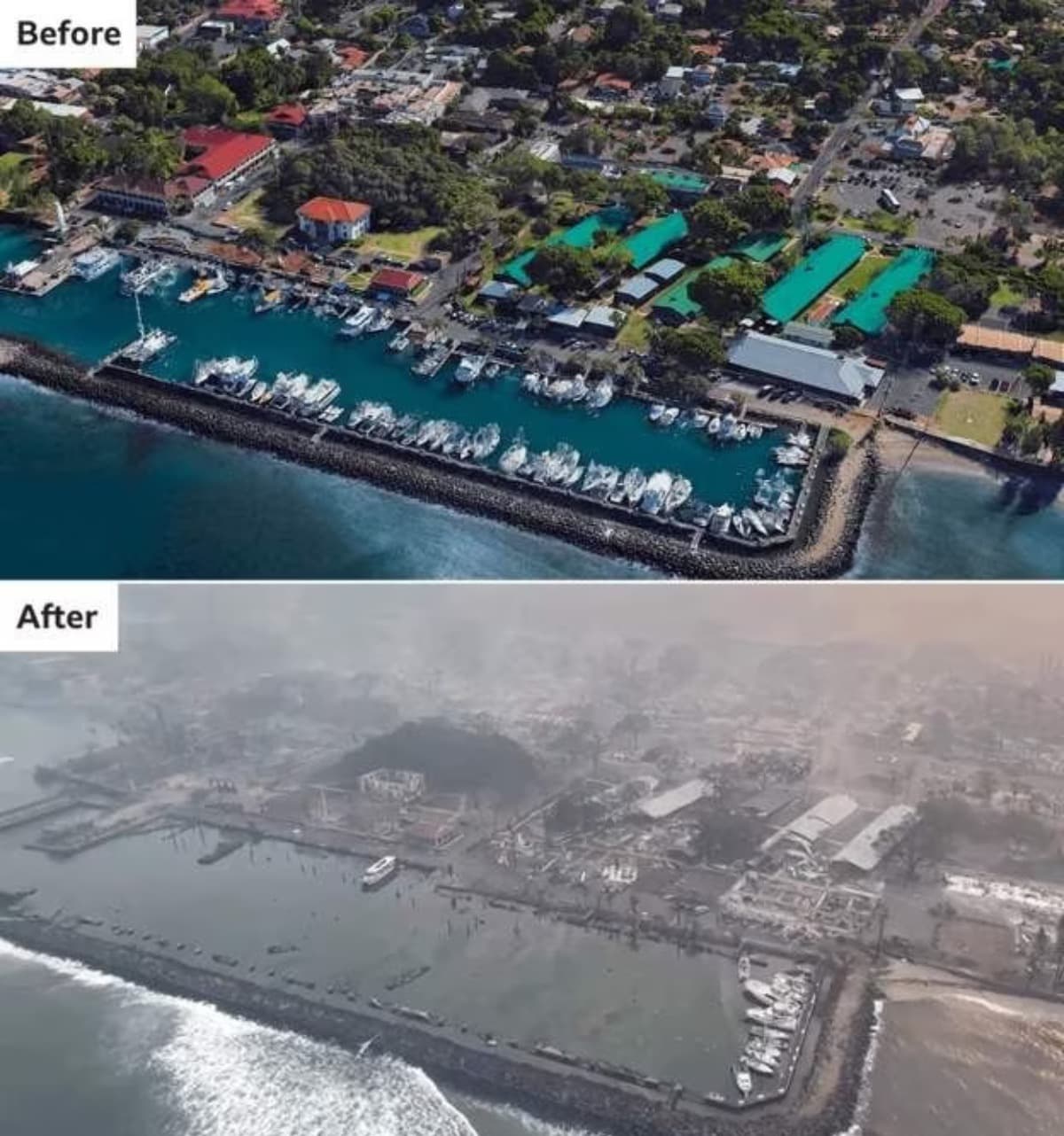 SupportMauiFireVictims