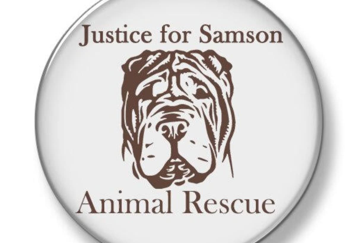 RescueHopeSupportOurBSLDogs
