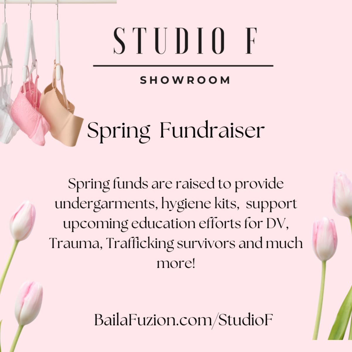 StudioFSpringFundraiser