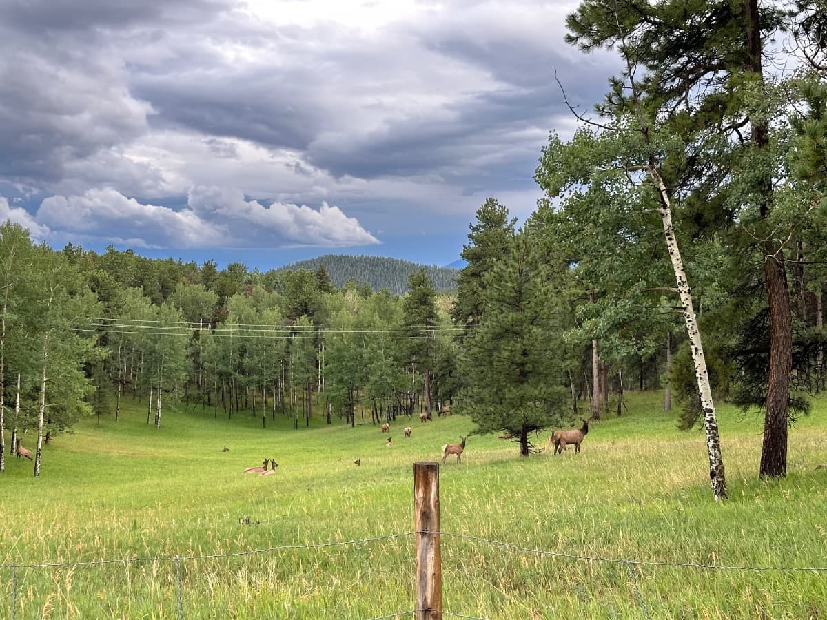 SaveOurPublicLands