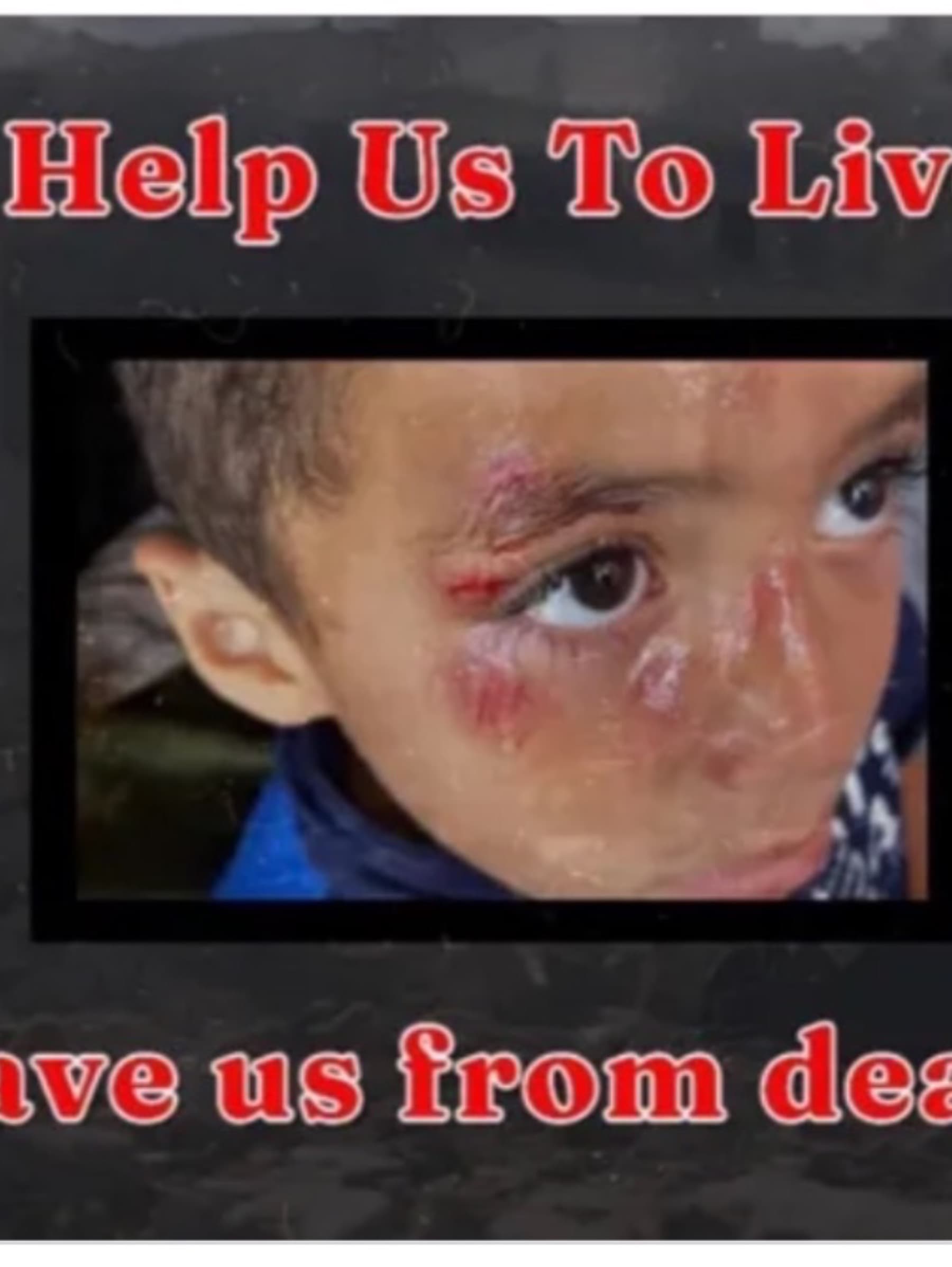 SaveLaylaAndHerFamily