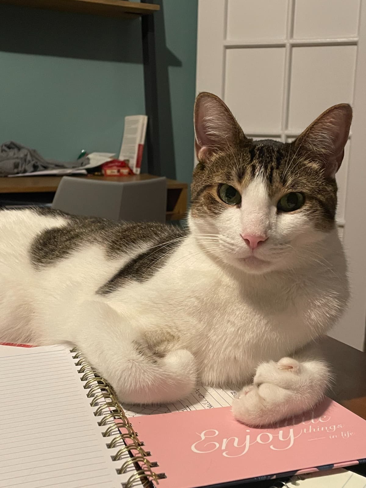 CharliesRoadToRecovery