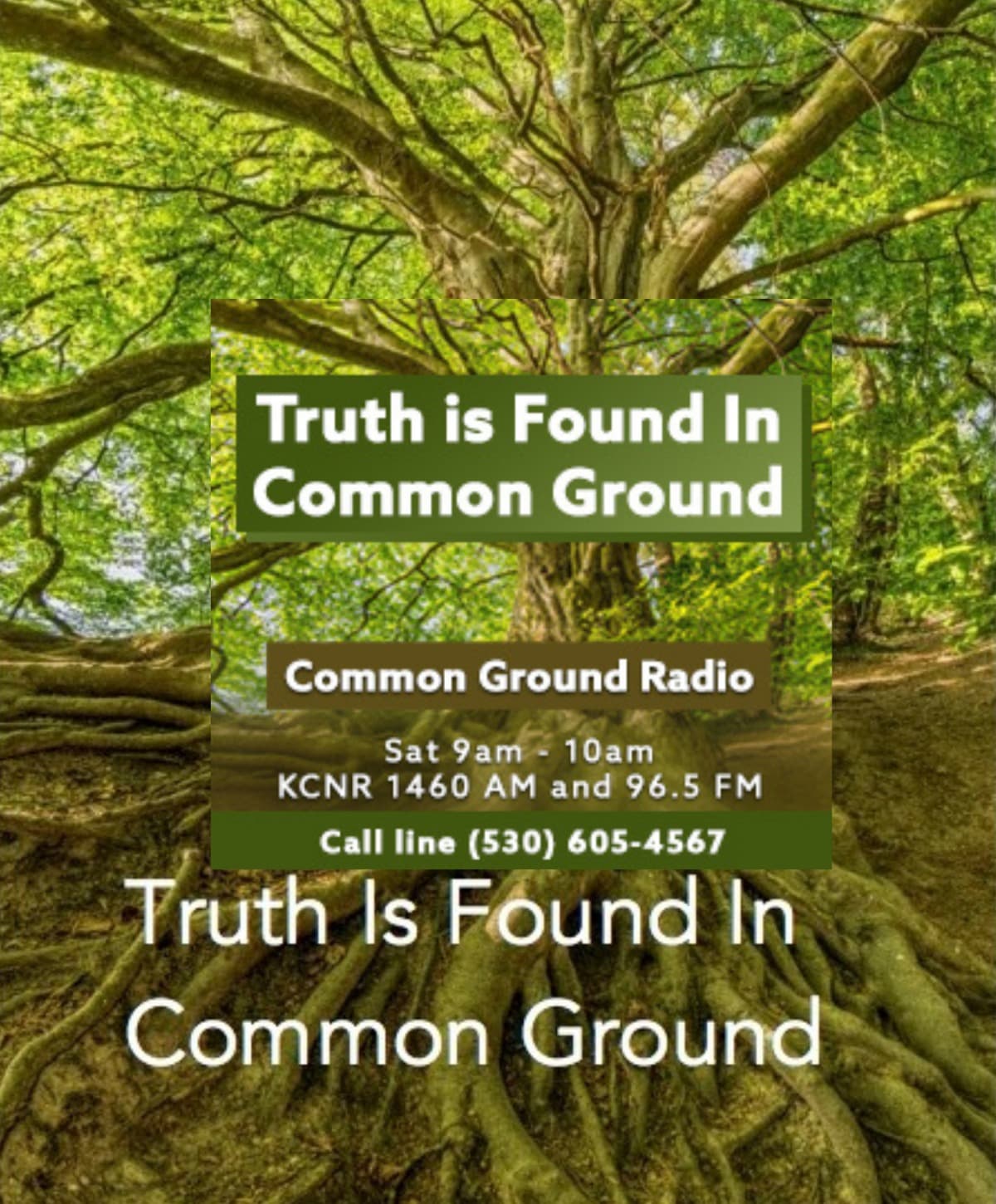 TheCommonGroundRadio