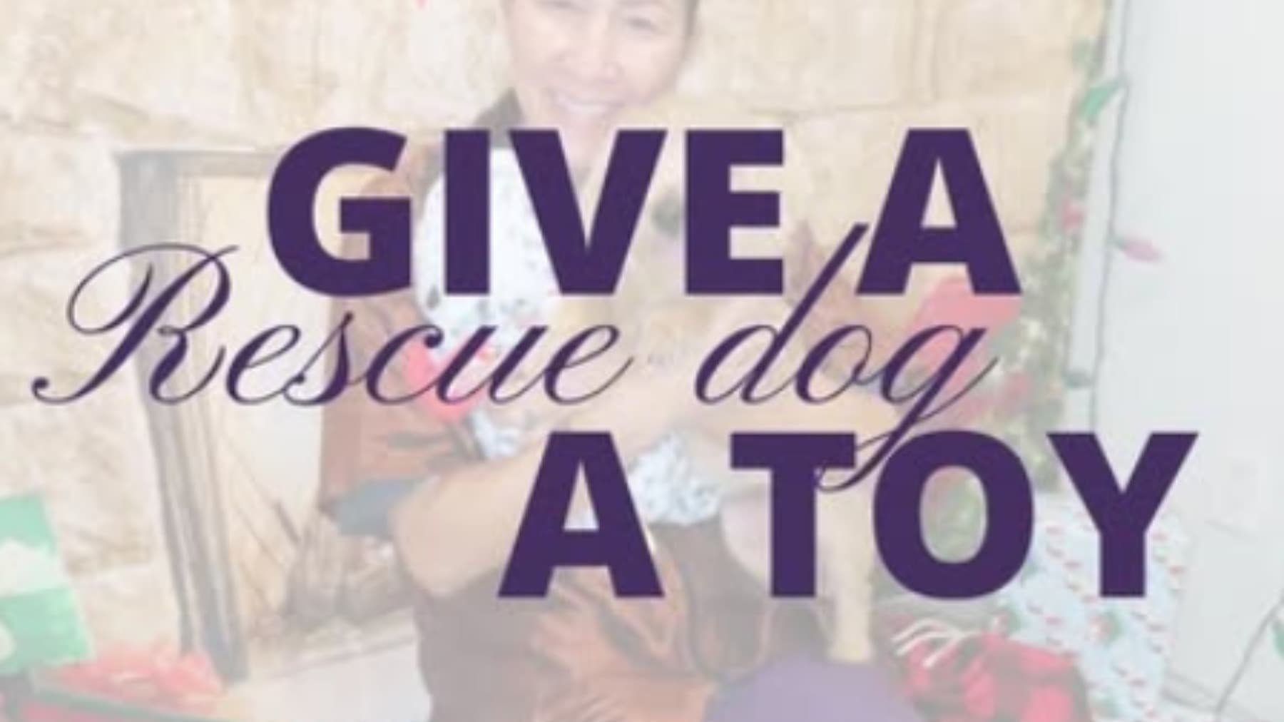 DonateAToyToShelterDog