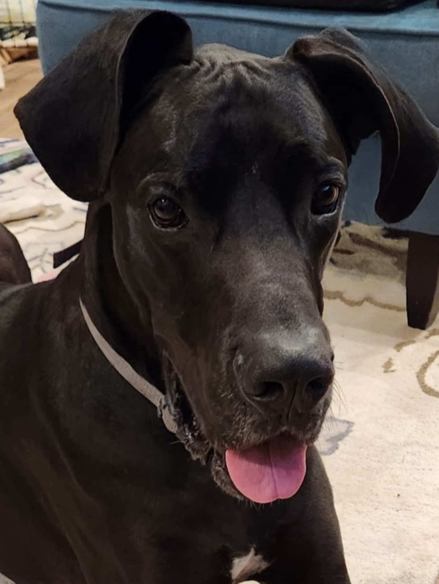 JoinTeamAxelAndHelpUsHealHim