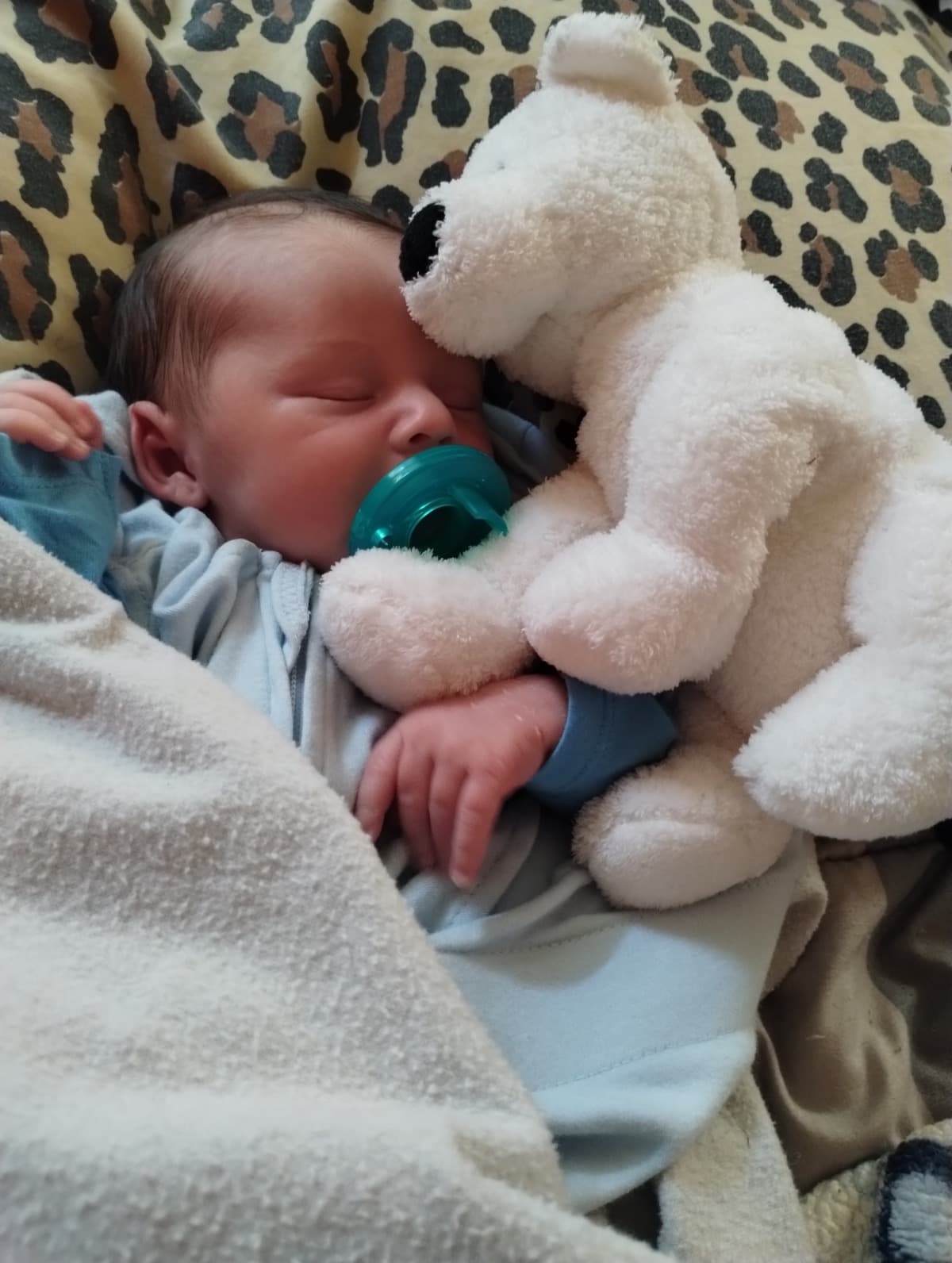 BabyDakota