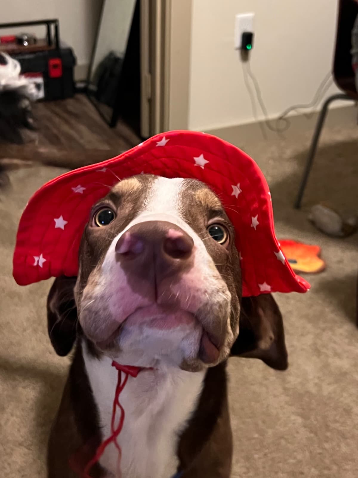 ApollosJawSurgery